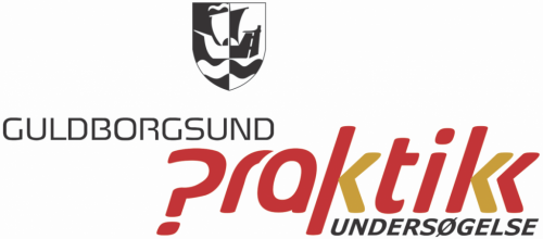 Praktik logo